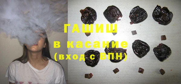прущие грибы Хадыженск