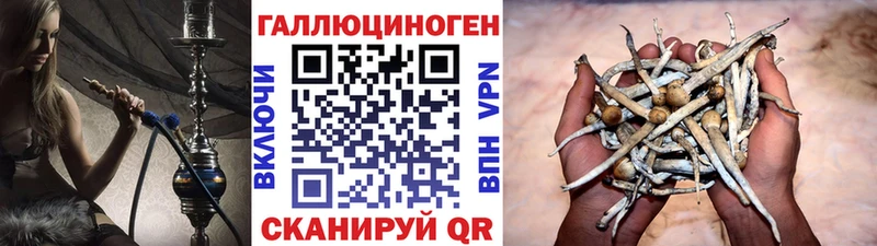где купить наркоту  Иркутск  KRAKEN как зайти  Галлюциногенные грибы ЛСД 